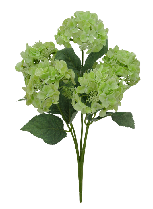 17 IN GREEN HYDRANGEA BUSH X 5 - 84845-GN