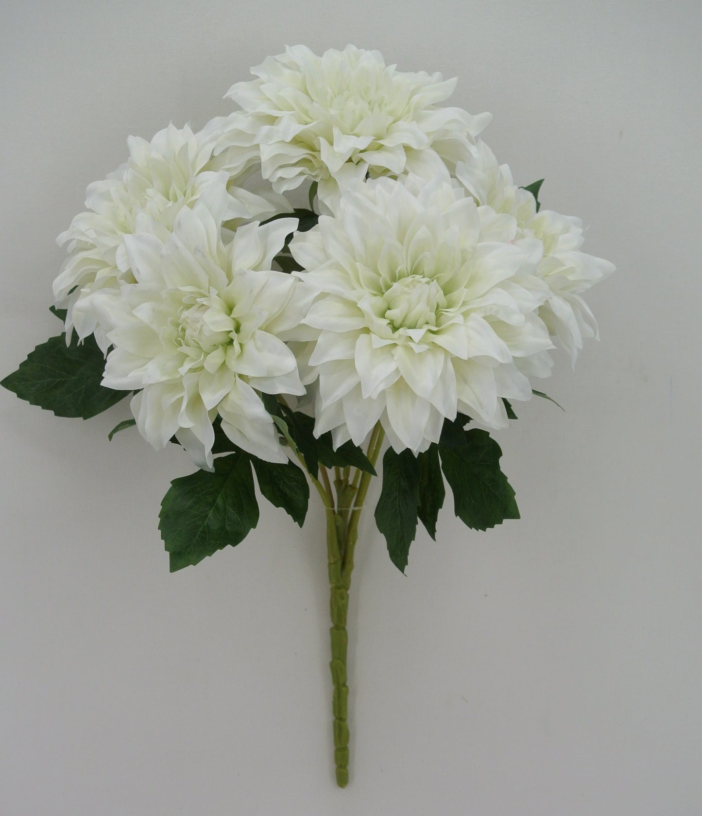 18 IN CREAM DAHLIA BUSH X 5 - 85041-CR