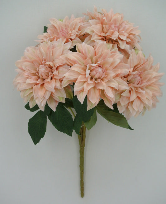 18 IN PEACH DAHLIA BUSH X 5 - 85041-PH