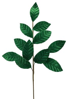 Velvet Magnolia Leaf Spray x 11 H25-GN-85361GN