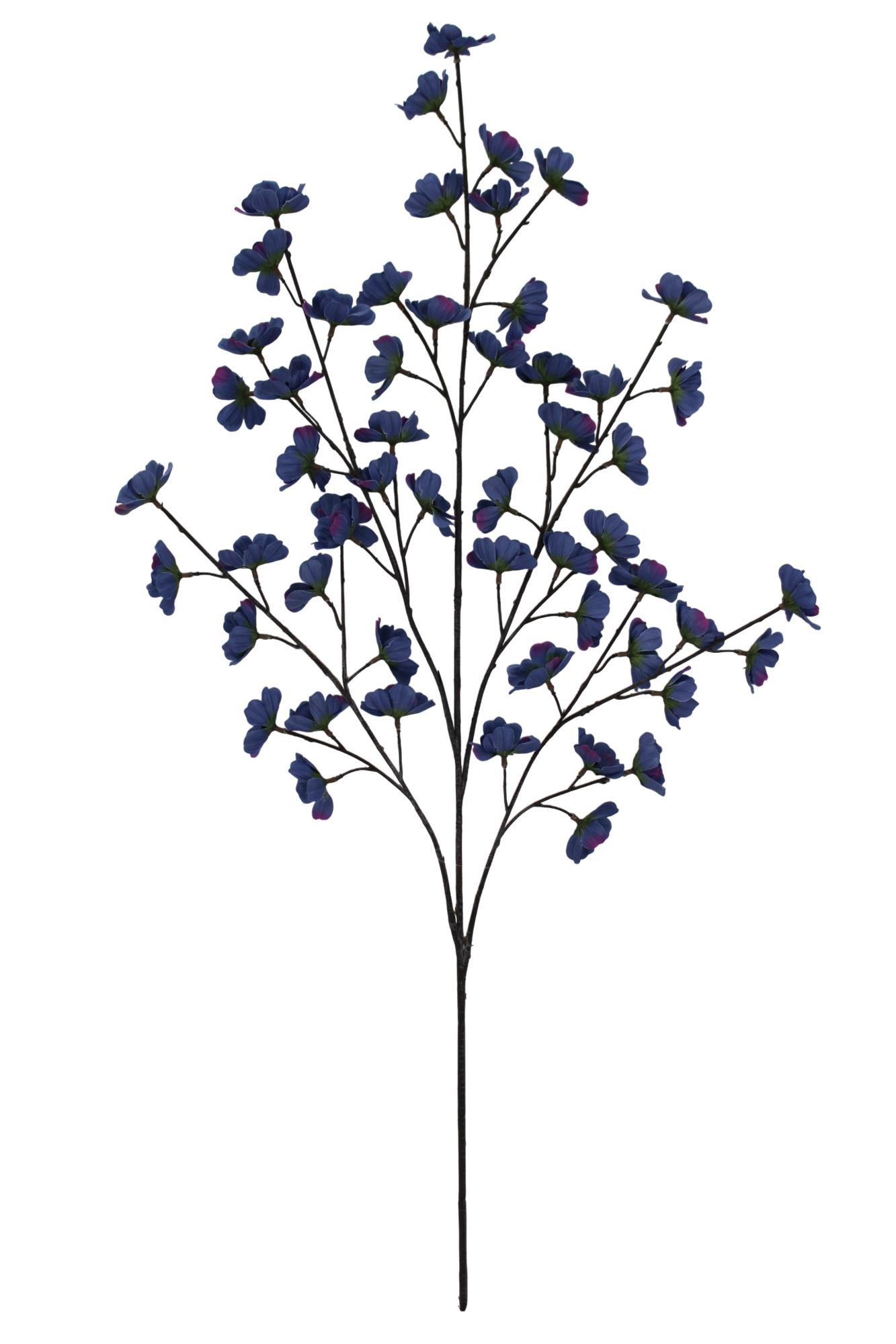 36 IN COSMOS SPRAY X 5 -85670-BL