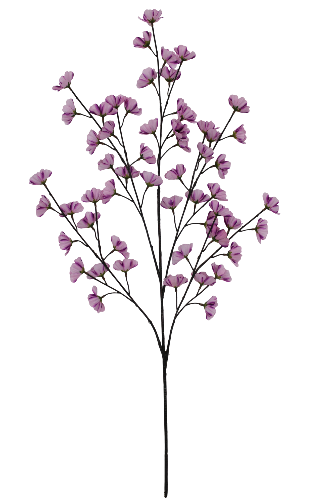 36 IN COSMOS SPRAY X 5 -85670-LILAC