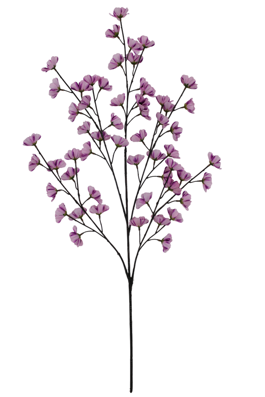 36 IN COSMOS SPRAY X 5 -85670-LILAC