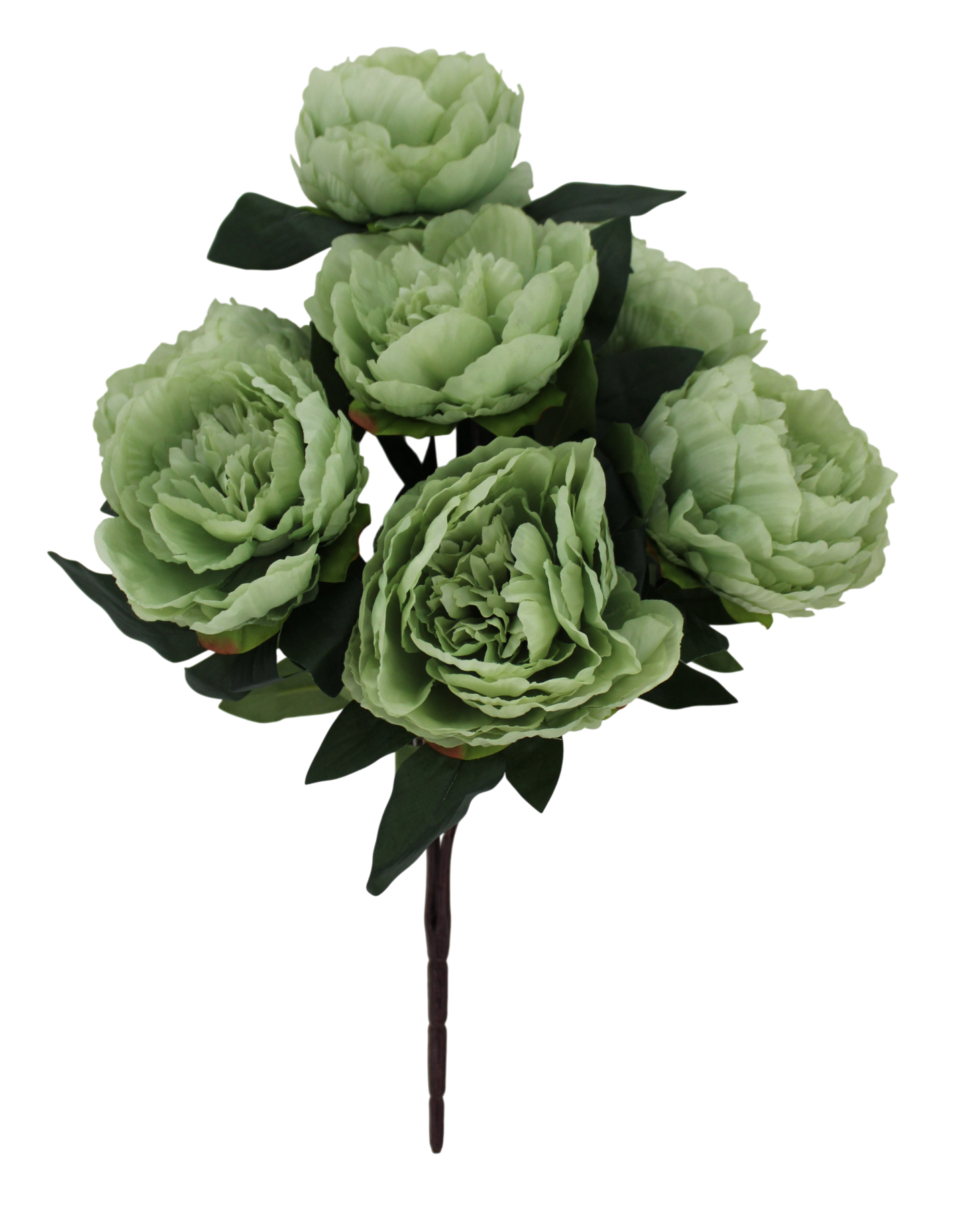 21 IN PEONY BUSH X 7 -85686-GN