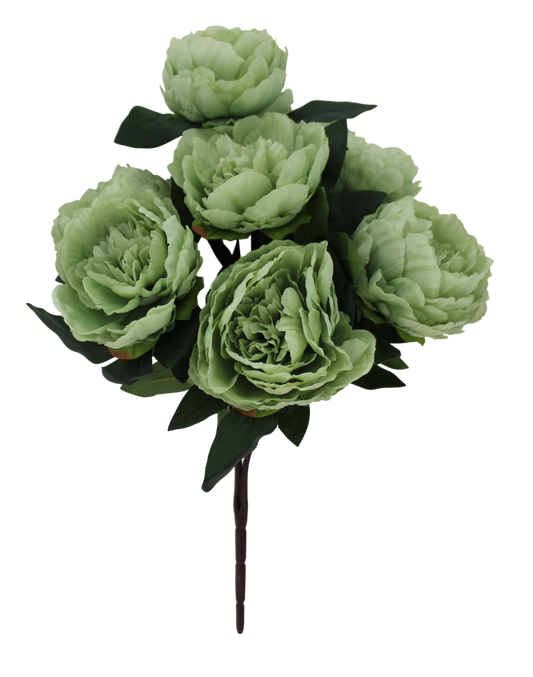 21 IN PEONY BUSH X 7 -85686-GN