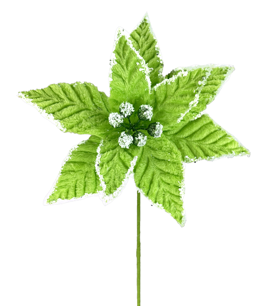 Poinsettia Pick H20xDIA11-Green-86030GN