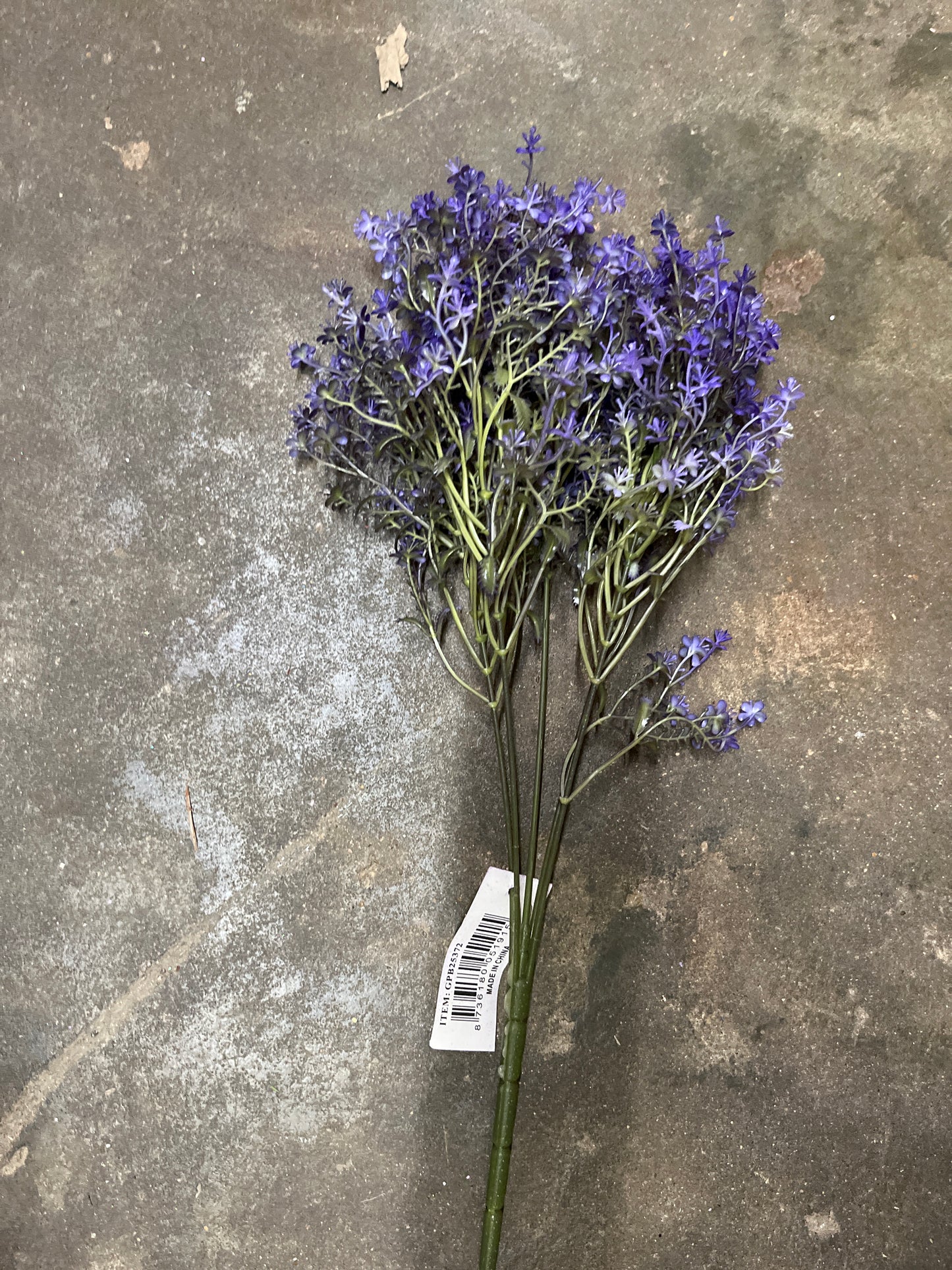 17" SPEEDWELL BUSH X 5-GPB25372-PURPLE