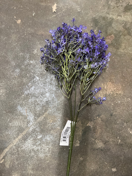 17" SPEEDWELL BUSH X 5-GPB25372-PURPLE