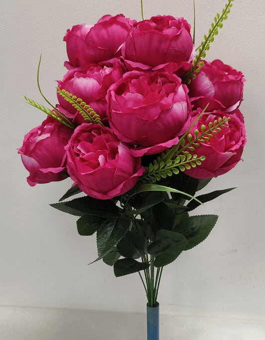 PEONY X12 BEAUTY - 95548