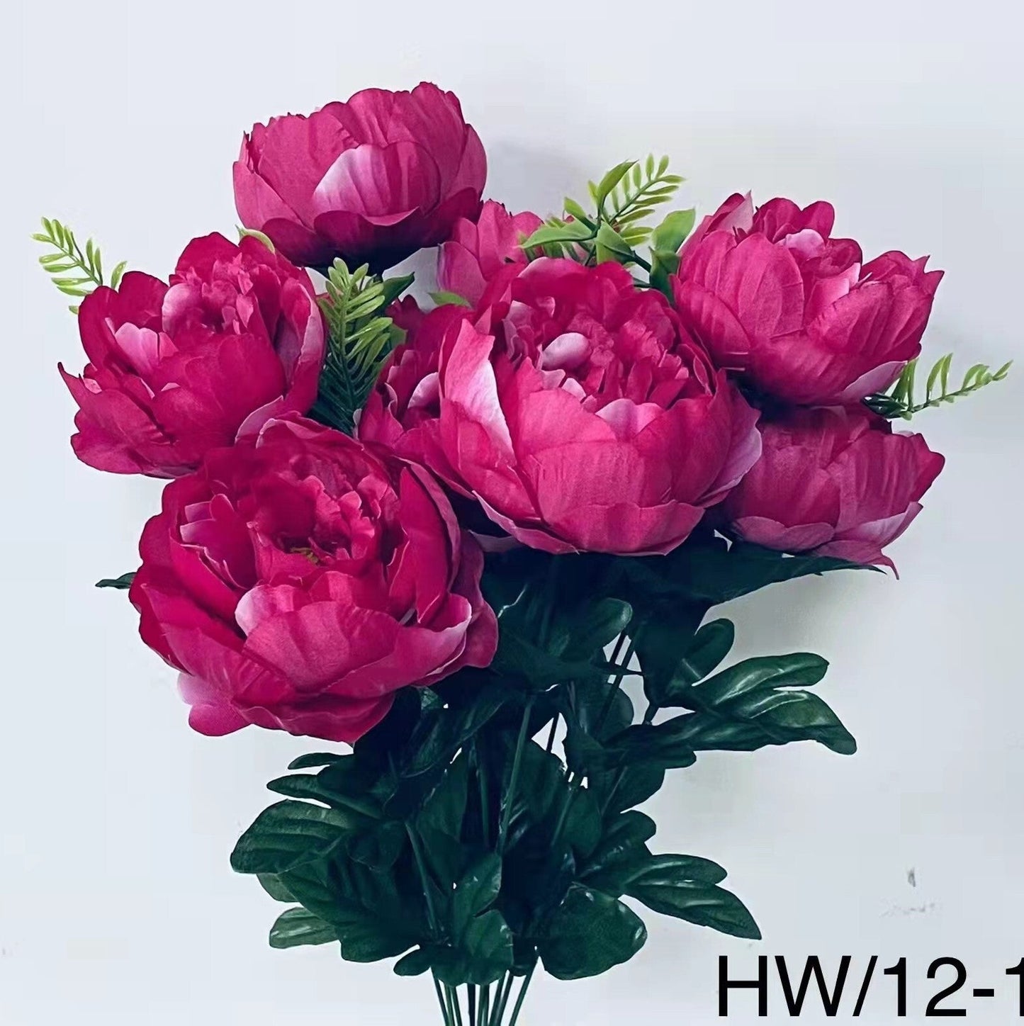 PEONY BUSH X 12 BEAUTY - 95635