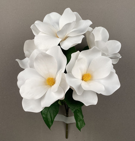 MAGNOLIA BUSH X 5 CREAM - 95811