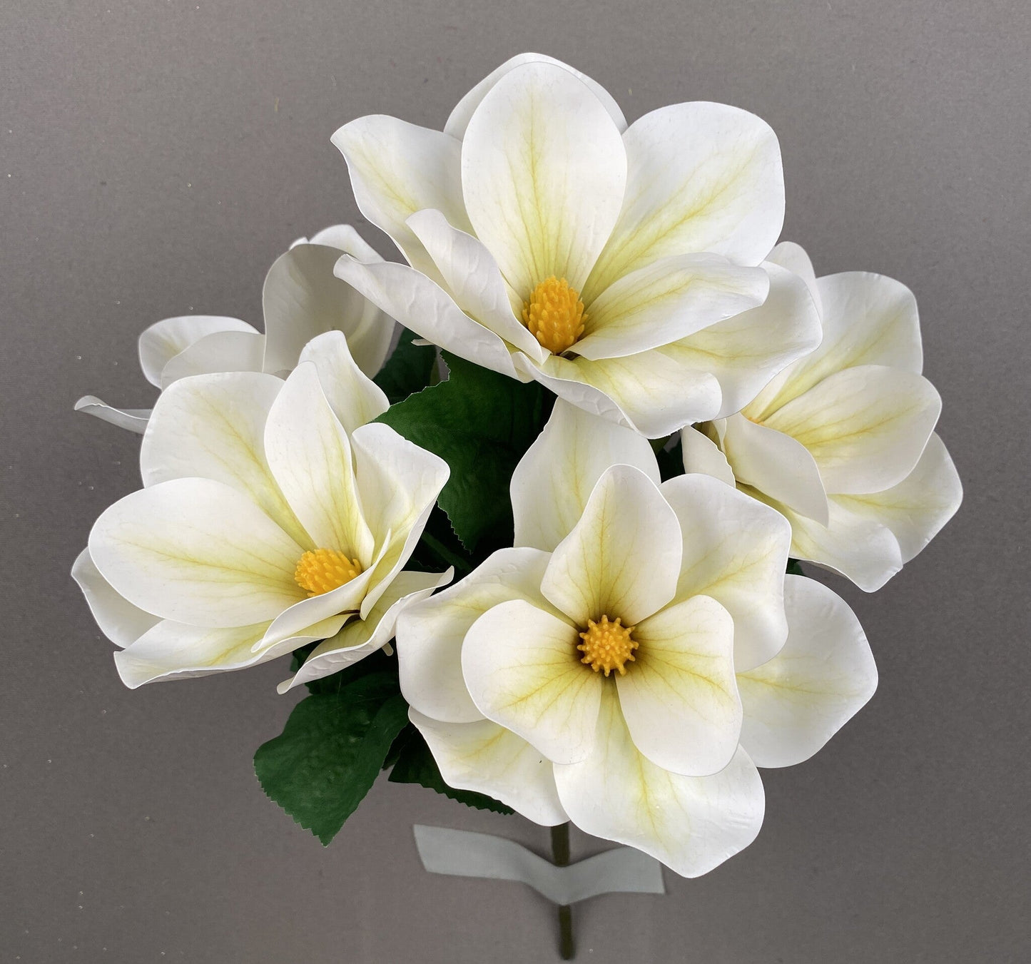 MAGNOLIA BUSH X 5 GREEN - 95814