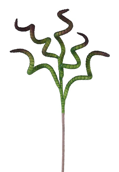 30"L EVA/PE TENTACLES SPRAY- GREEN/BROWN- FE108033