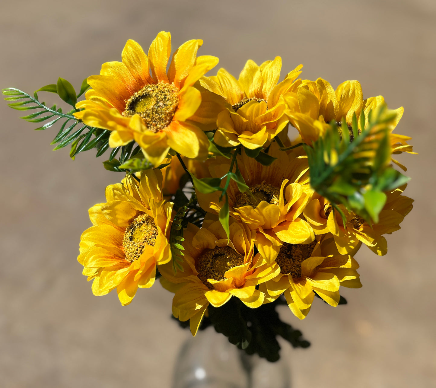 SUNFLOWER BUSH X 12-YEL-10921