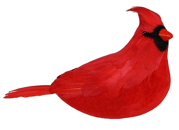 11"L X 7"H FEATHER CARDINAL- RED- MB5381
