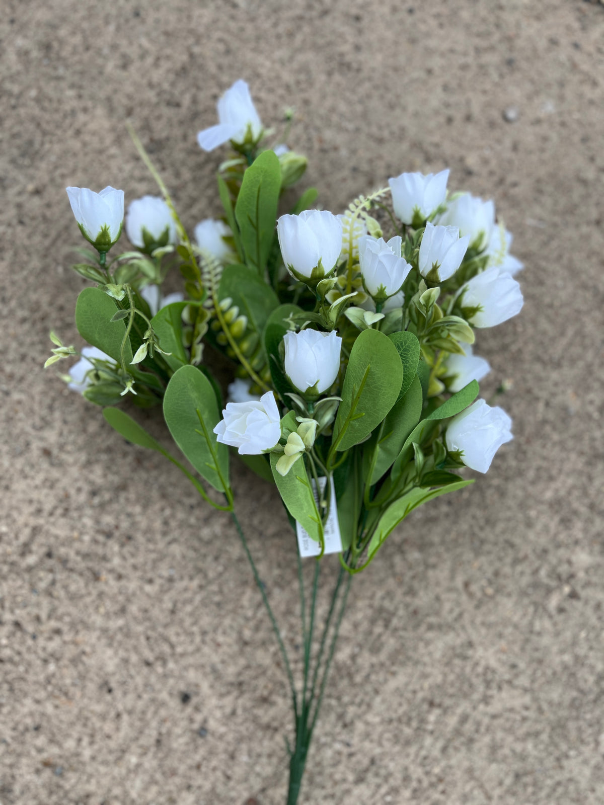 ROSE BUSH X 7-CRM-37401