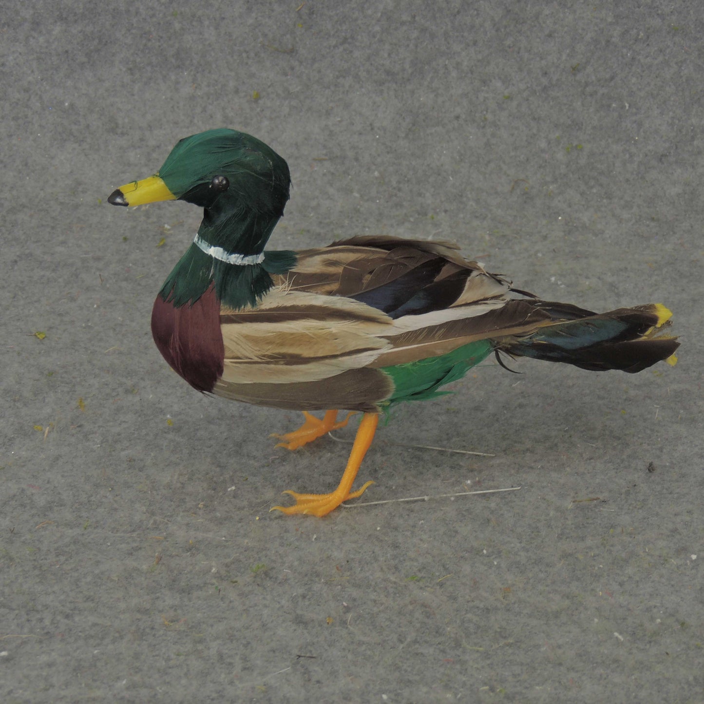 8.5" FEATHERED MALLARD DUCK - B303