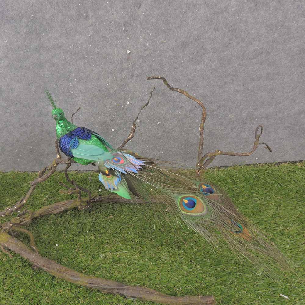 16" GREEN PEACOCK WITH NATURAL TAIL - BN0109-GRN