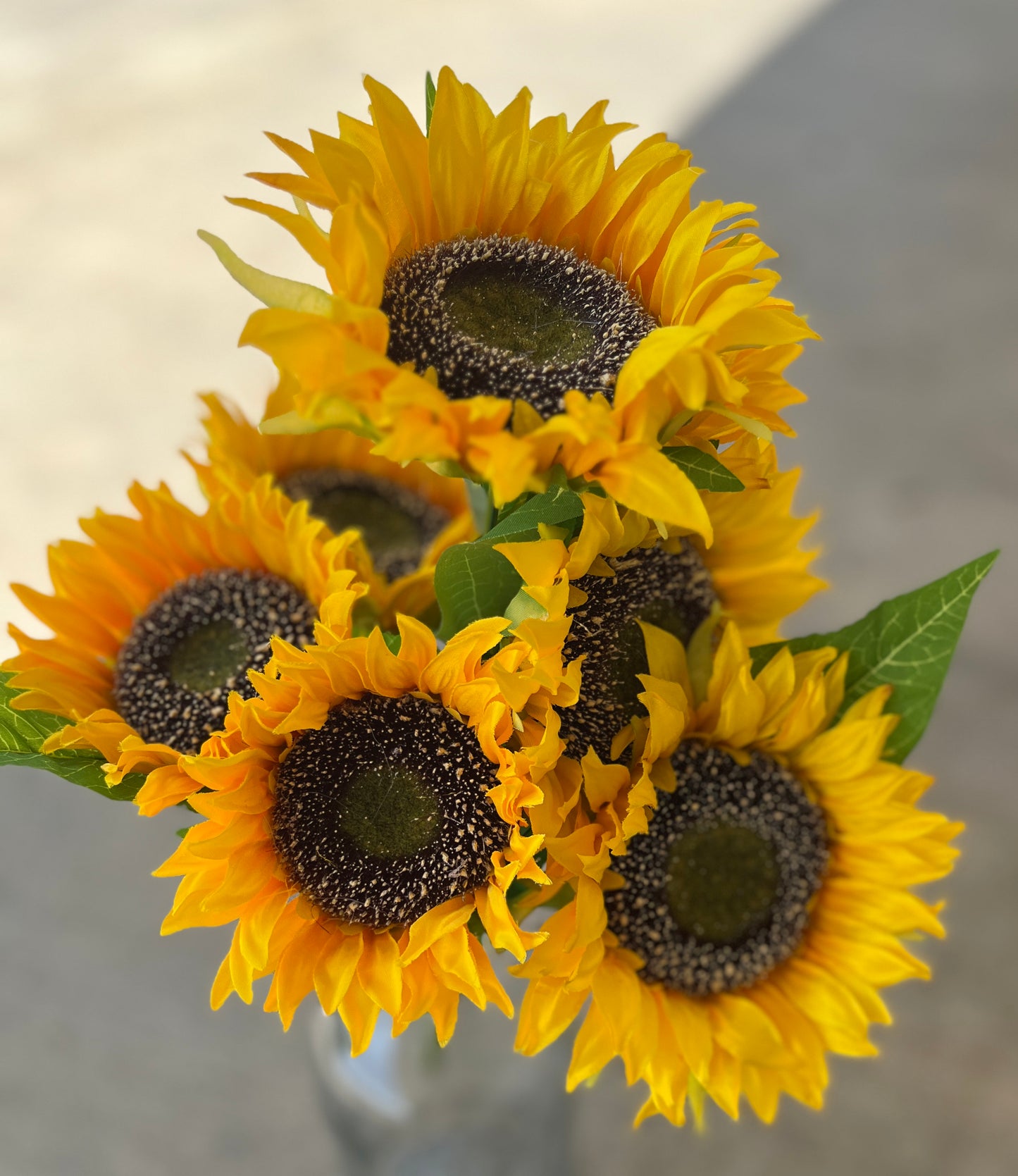 SUNFLOWER BUSH X 7-YEL-12571