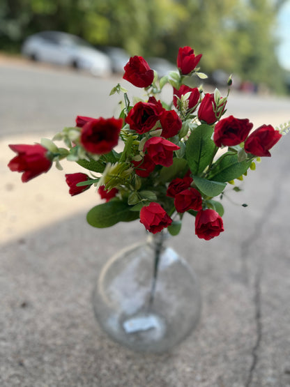 ROSE BUSH X 7-RED-37403