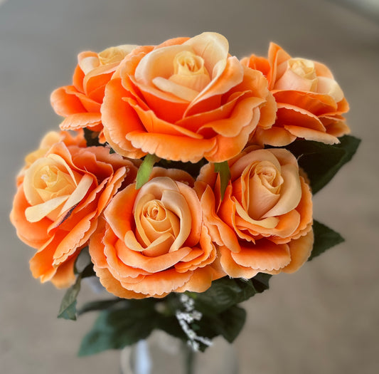 FANCY ROSE X 9-OR-45503