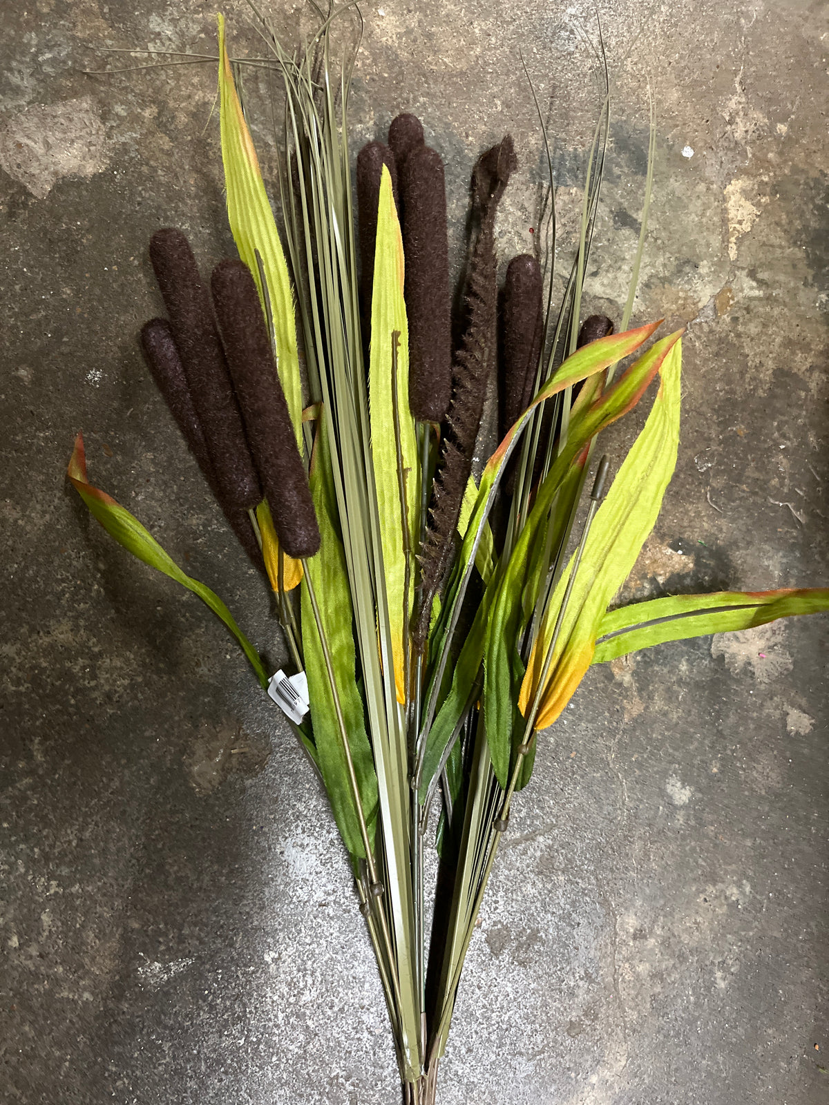 Cattail mix bush x 9-Dk Brown-73374