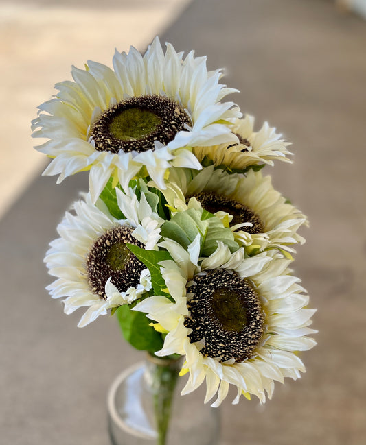 SUNFLOWER BUSH X 7-CRM-12573