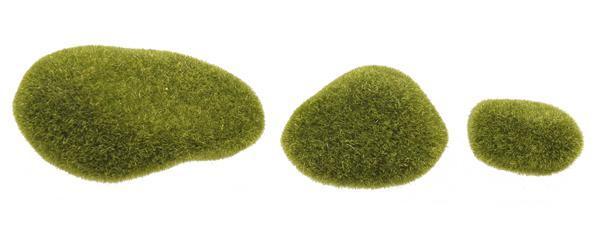 3 ASST 2.5"-4.5"DIA MOSS, 36EA/BAG - FG531232