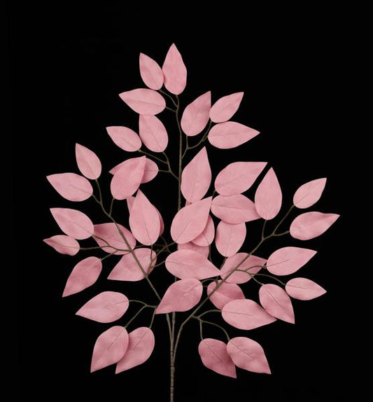 23"L ROSE PINK FICUS SPRAY - 1 DOZEN - FG633737