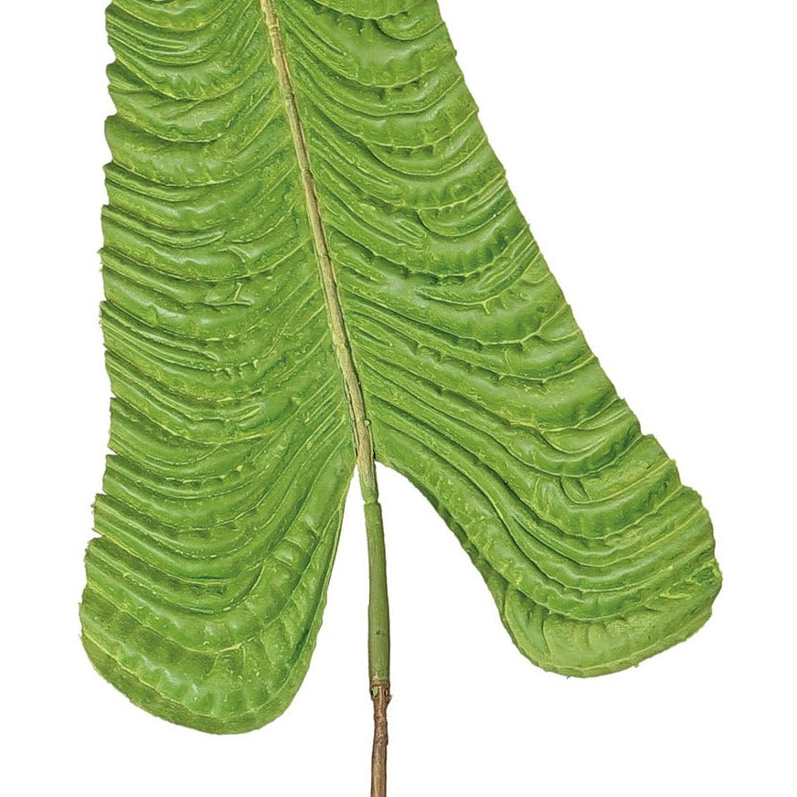 KING ANTHURIUM VEITCHII, 47", GREEN - FL6422-G