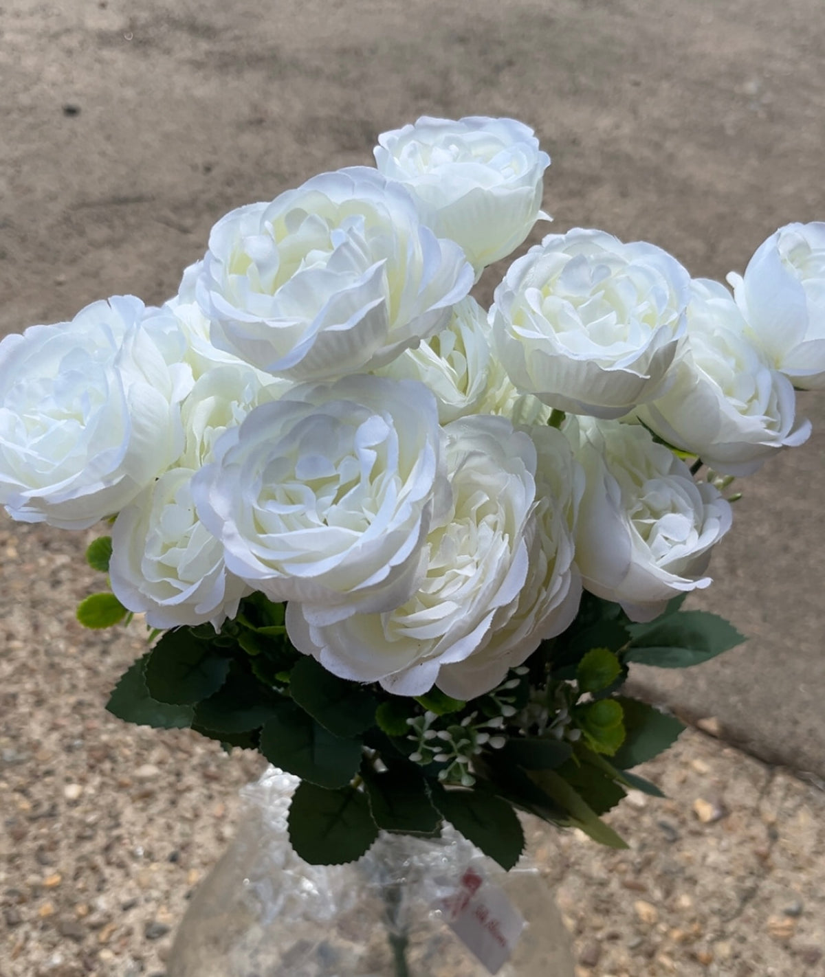 22" OPEN ROSE BUSH X 18-GPB25490-CREAM