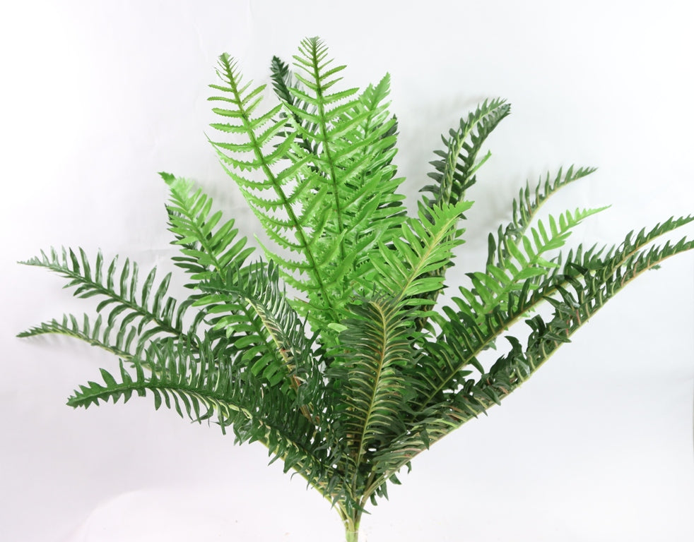 31" BOSTON FERN W/30 LEAVES - GG25608-2TN. GN
