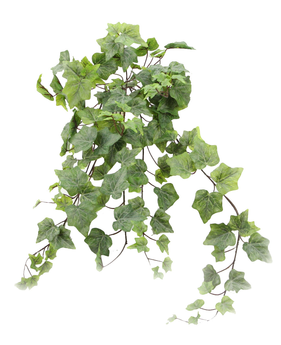 GARDEN IVY HANGING VINE X 13 W/144 LEAVE - GG7661-FROSTED GN