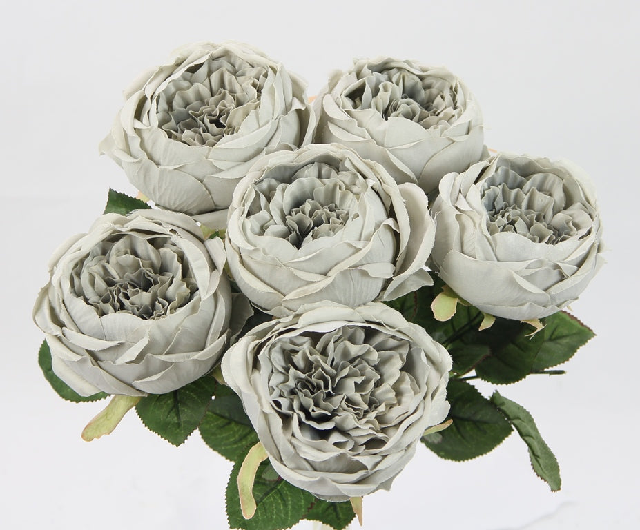 ROSE BUSH X 7 - GPB20305-GREY