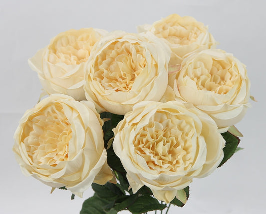 ROSE BUSH X 7 - GPB20305-IVORY
