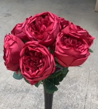 CABBAGE ROSE BUSH X 7-BURGUNDY-GPB20305-BG
