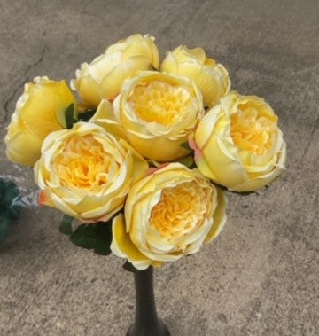CABBAGE ROSE BUSH X 7-YELLOW-GPB20305-YL