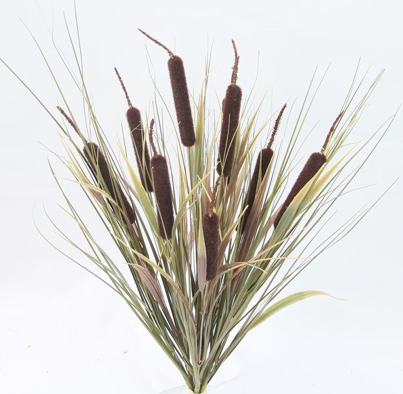 22" CATTAIL X 12 - GPB23433-BROWN
