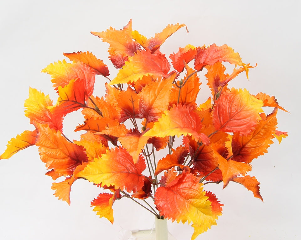 19" COPPER LEAF BUSH X 14  - GPB24403 - ORANGE MIX