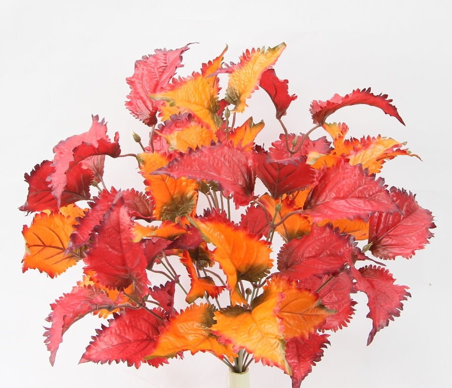 19" COPPER LEAF BUSH X 14  - GPB24403 - RED AND ORANGE