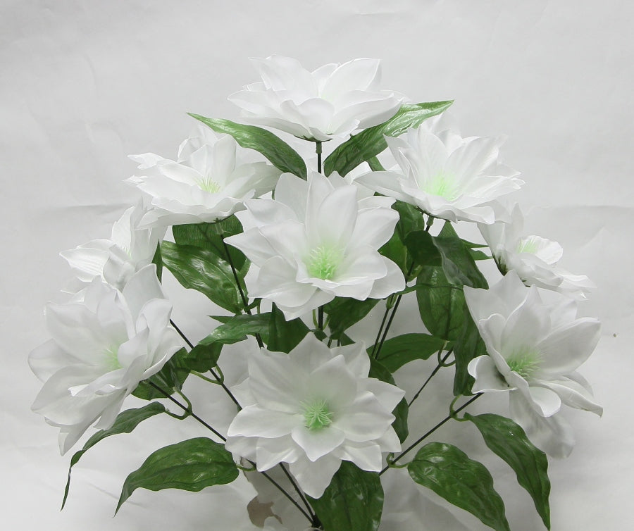 19” STAR BUSH X 12  - GPB24458 - WHITE