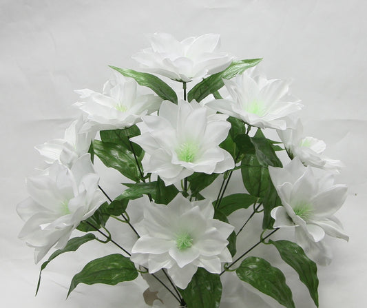 19” STAR BUSH X 12  - GPB24458 - WHITE