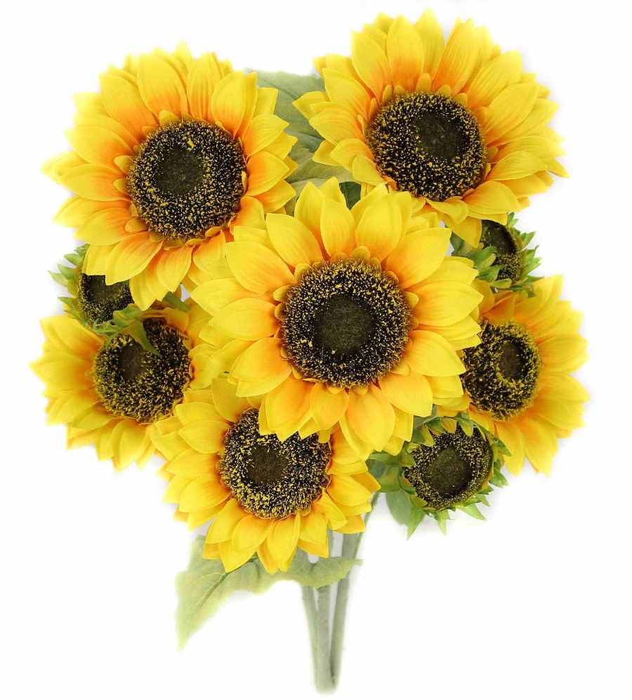 SUNFLOWER BUSH X 9  - GPB4418-YELLOW