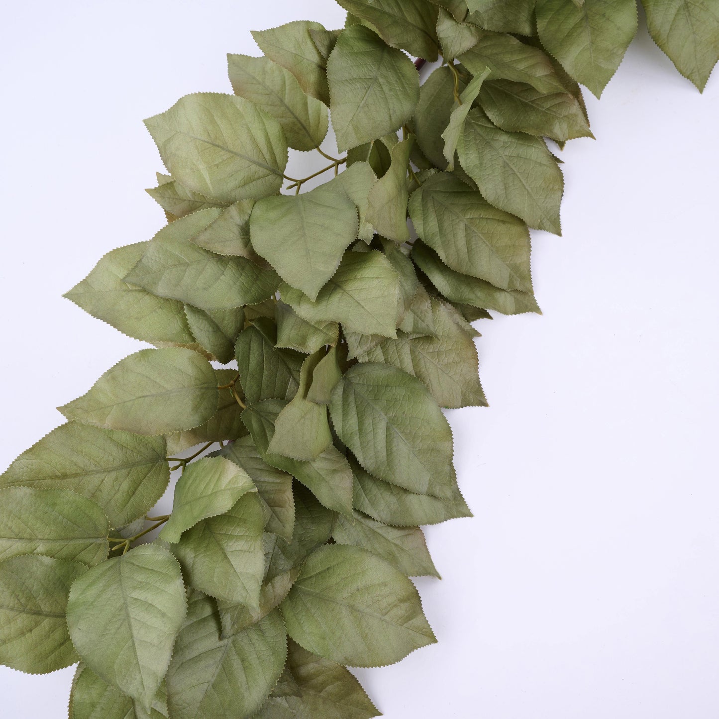 60"L SALAL LEAF GARLAND - TT GREEN - HA177596