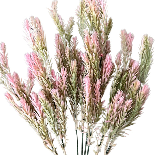 Pink Wheat Filler Bush - 57753