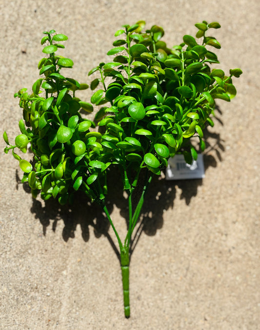 11" BUTTON GRASS BUSH X 5-GR-BG1723