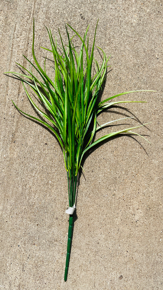 24" PLS LONG GRASS X 7-59611