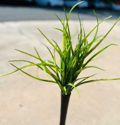 24" PLS LONG GRASS X 7-59611