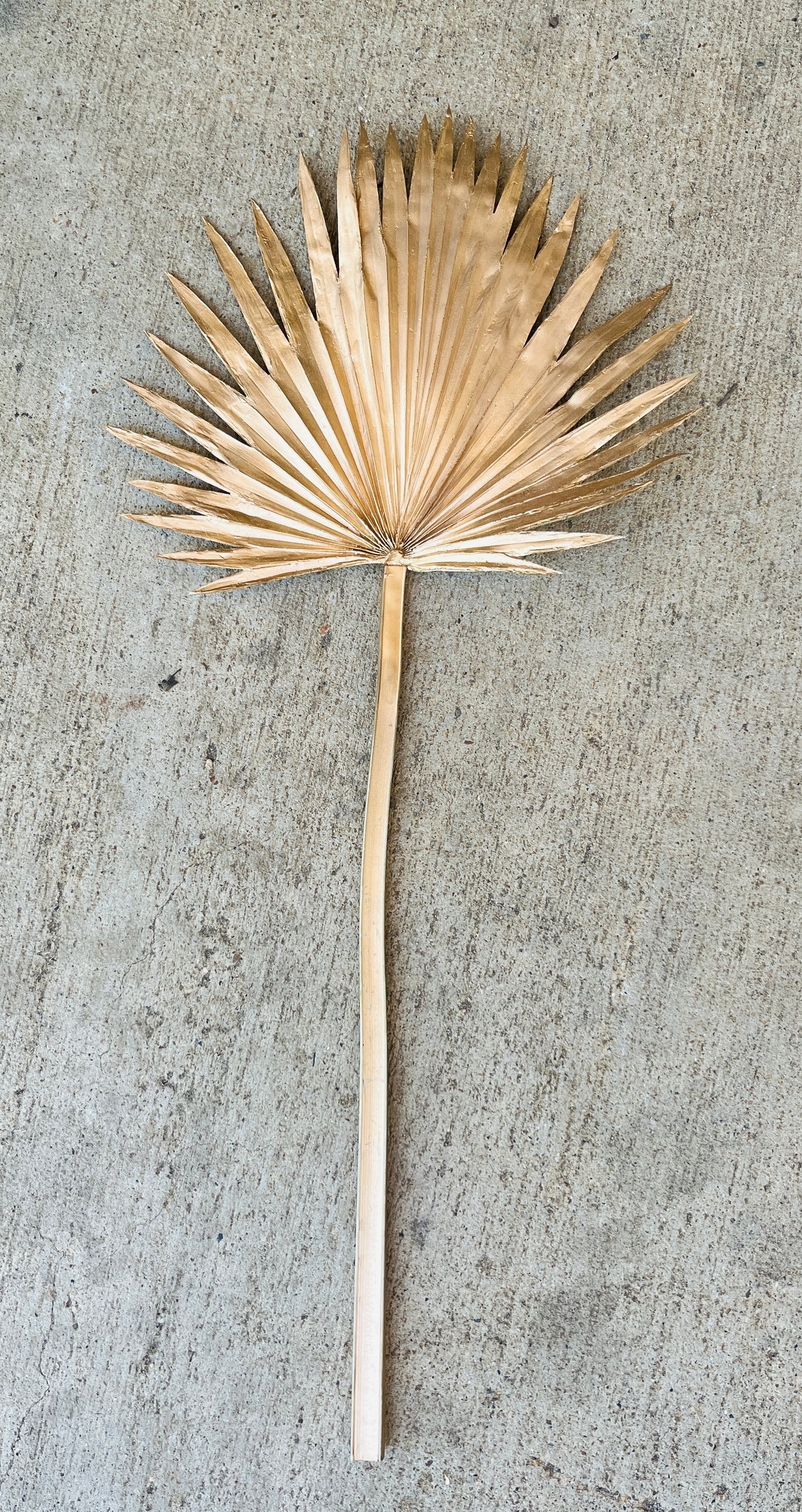 23.5" FAN PALM SPRAY-GOLD-134918GD