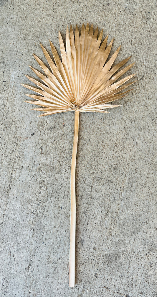23.5" FAN PALM SPRAY-GOLD-134918GD